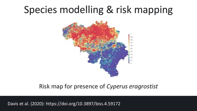 Species modelling & risk mapping
Davis et al. (2020): https://doi.org/10.3897/biss.4.59172
Risk map for presence of Cyperus eragrostist
