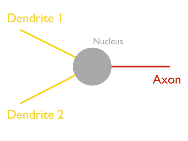 Dendrite 2
Nucleus
Axon
Dendrite 1
