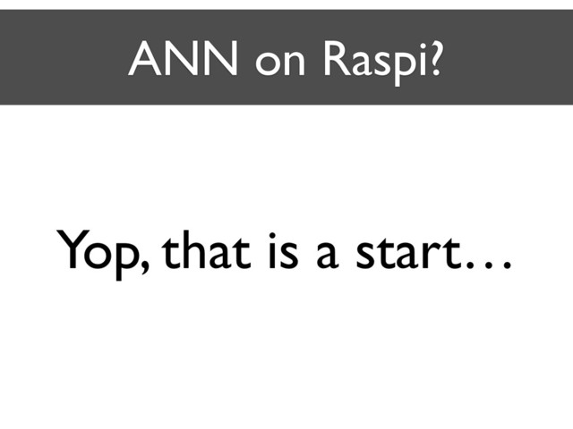 ANN on Raspi?
Yop, that is a start…
