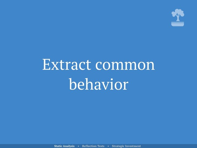 Extract common
behavior
Static Analysis • Reflection Tests • Strategic Investment
