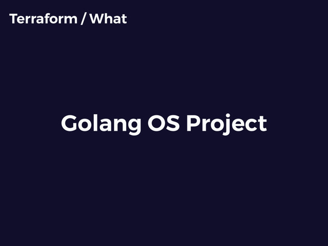 Golang OS Project
Terraform / What
