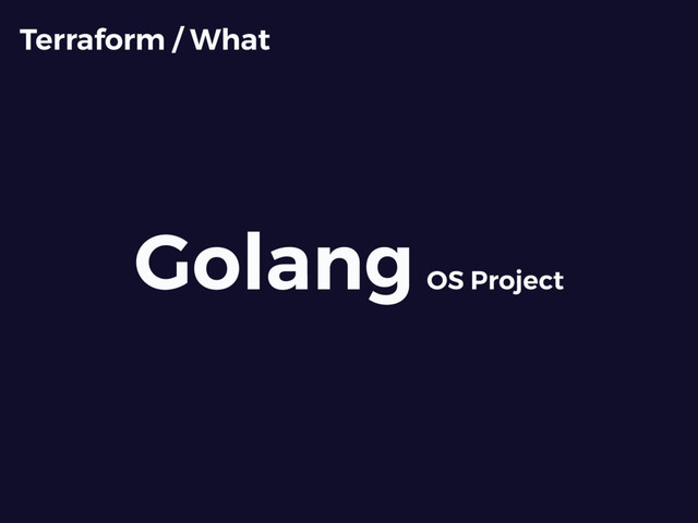 Golang OS Project
Terraform / What
