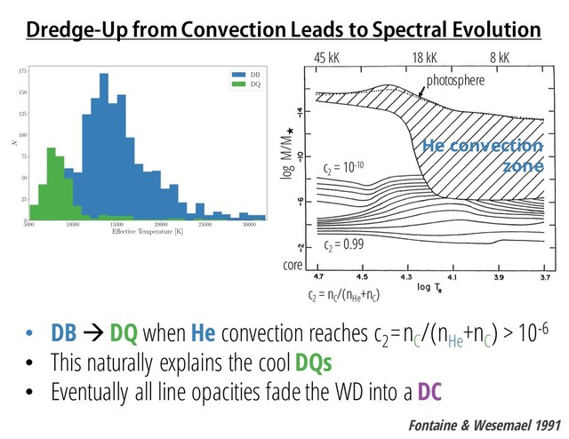 Dredge-Up from Convection Leads to Spectral Evolution
• DB à DQ when He convection reaches c2
=nC
/(nHe
+nC
) > 10-6
• This naturally explains the cool DQs
• Eventually all line opacities fade the WD into a DC
Fontaine & Wesemael 1991
45 kK 18 kK 8 kK
He convection
zone
c2
= nC
/(nHe
+nC
)
c2
= 10-10
c2
= 0.99
core
photosphere
log M/M★
