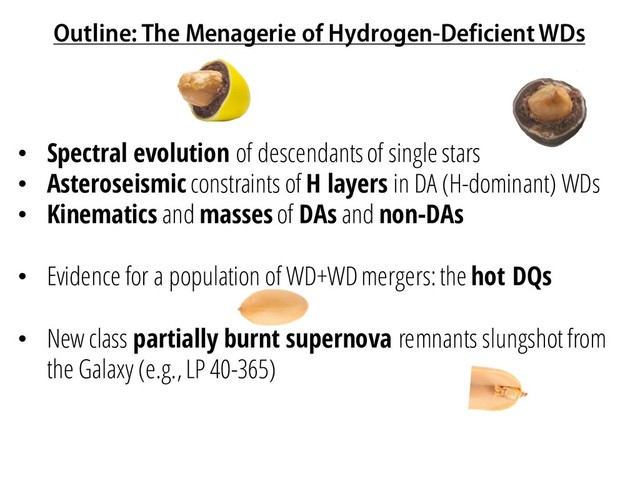 Outline: The Menagerie of Hydrogen-Deficient WDs
• Spectral evolution of descendants of single stars
• Asteroseismic constraints of H layers in DA (H-dominant) WDs
• Kinematics and masses of DAs and non-DAs
• Evidence for a population of WD+WD mergers: the hot DQs
• New class partially burnt supernova remnants slungshot from
the Galaxy (e.g., LP 40-365)
