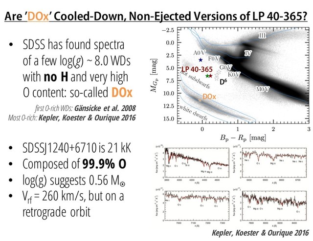 Are ’DOx’ Cooled-Down, Non-Ejected Versions of LP 40-365?
first O-rich WDs: Gänsicke et al. 2008
Most O-rich: Kepler, Koester & Ourique 2016
• SDSSJ1240+6710 is 21 kK
• Composed of 99.9% O
• log(g) suggests 0.56 M¤
• Vrf
= 260 km/s, but on a
retrograde orbit
Kepler, Koester & Ourique 2016
• SDSS has found spectra
of a few log(g) ~ 8.0 WDs
with no H and very high
O content: so-called DOx
LP 40-365
D6
DOx
