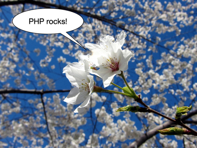 PHP rocks!
