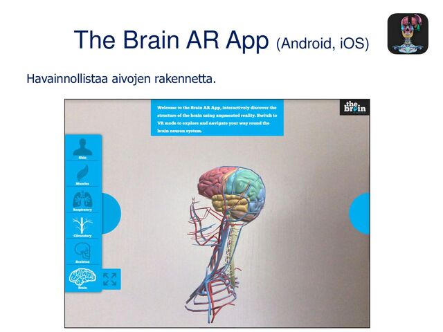 The Brain AR App (Android, iOS)
Havainnollistaa aivojen rakennetta.
