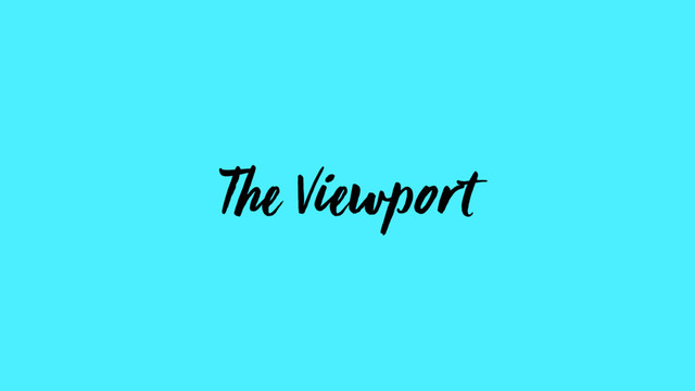The Viewport

