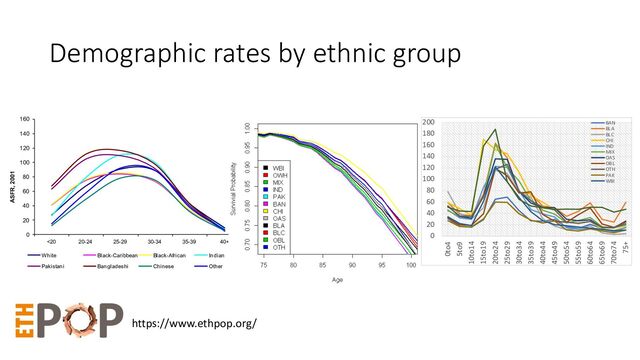 Demographic rates by ethnic group
0
20
40
60
80
100
120
140
160
<20 20-24 25-29 30-34 35-39 40+
ASFR, 2001
White Black-Caribbean Black-African Indian
Pakistani Bangladeshi Chinese Other
0
20
40
60
80
100
120
140
160
180
200
0to4
5to9
10to14
15to19
20to24
25to29
30to34
35to39
40to44
45to49
50to54
55to59
60to64
65to69
70to74
75+
BAN
BLA
BLC
CHI
IND
MIX
OAS
OBL
OTH
PAK
WBI
https://www.ethpop.org/
