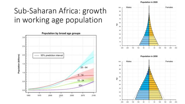 Sub-Saharan Africa: growth
in working age population
