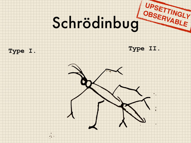 Schrödinbug
UPSETTINGLY
OBSERVABLE
Type I. Type II.
