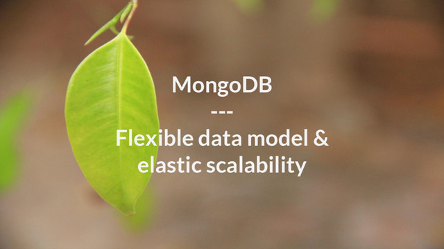 MongoDB
---
Flexible data model &
elastic scalability
