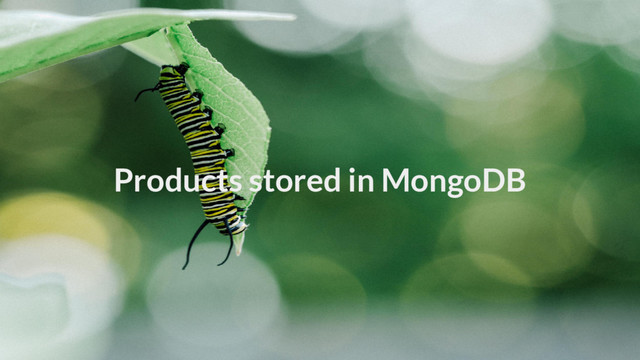 Products stored in MongoDB
