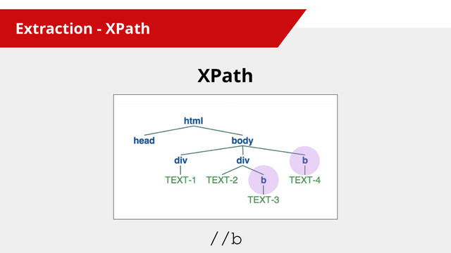Extraction - XPath
XPath
//b
