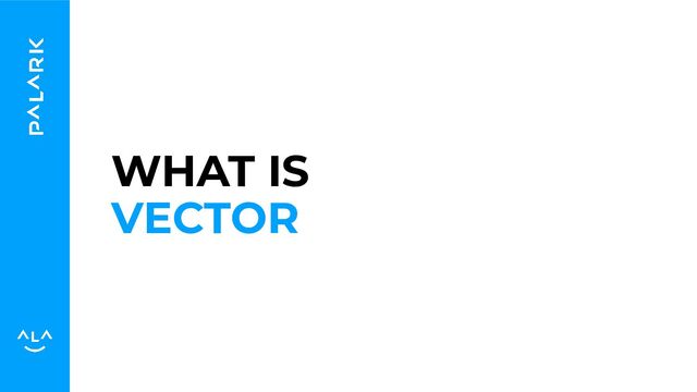 WHAT IS
VECTOR
