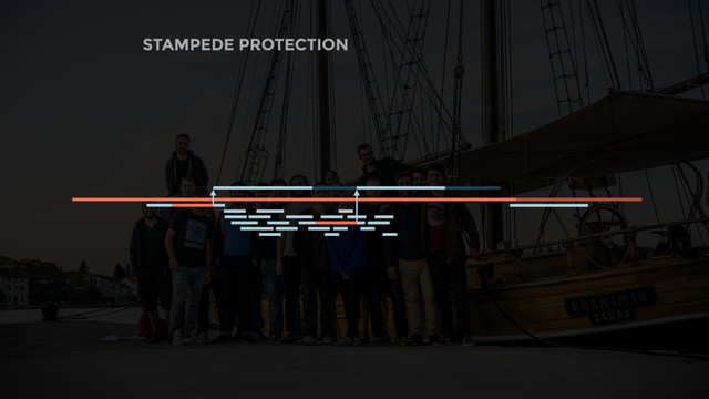STAMPEDE PROTECTION
