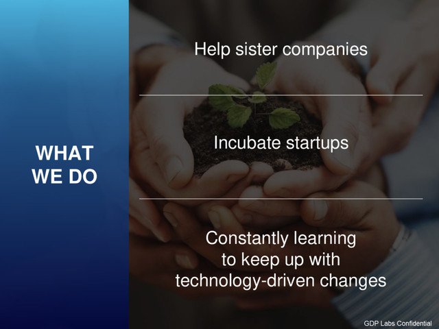 WHAT
WE DO
Constantly learning
to keep up with
technology-driven changes
Help sister companies
Incubate startups
