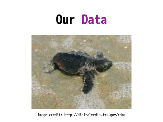 Our Data
Image credit: http://digitalmedia.fws.gov/cdm/
