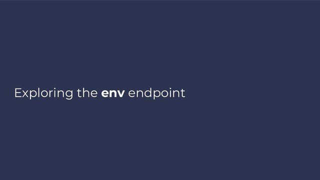 Exploring the env endpoint
