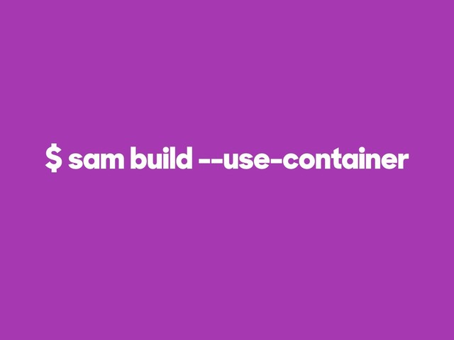 $ sam build --use-container
