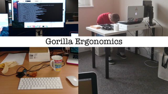 Gorilla Ergonomics
