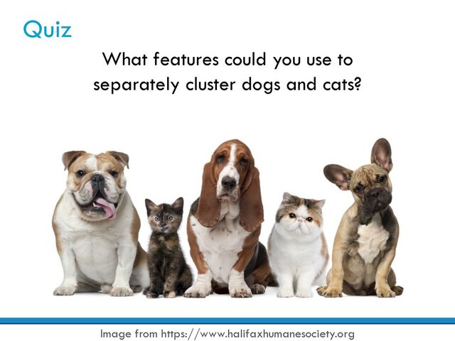 Quiz
What features could you use to
separately cluster dogs and cats?
Image from https://www.halifaxhumanesociety.org
