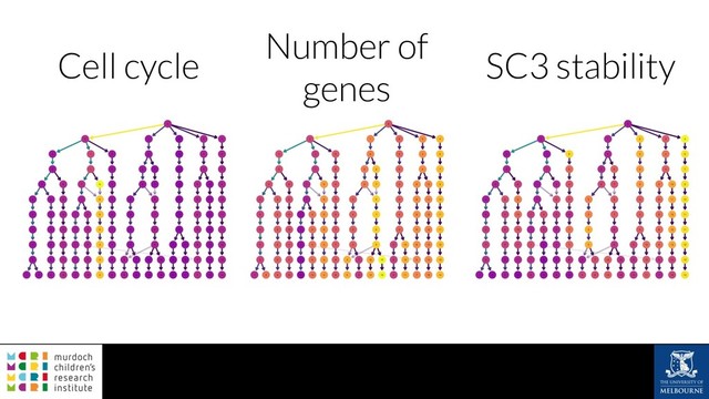 Cell cycle SC3 stability
Number of
genes
