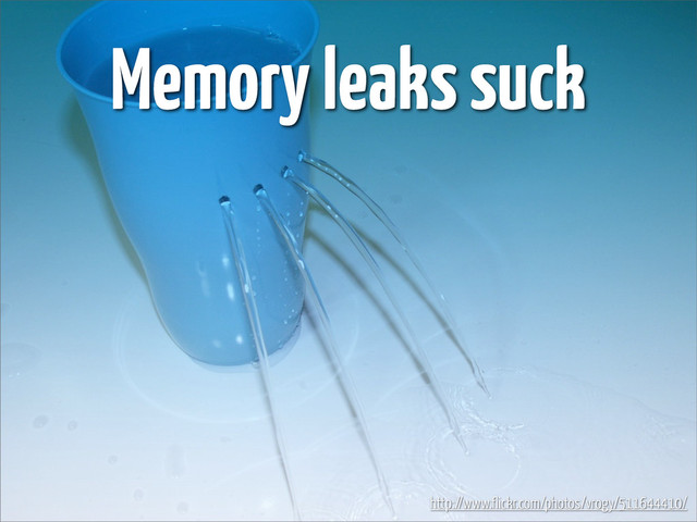 Memory leaks suck
http://www.flickr.com/photos/vrogy/511644410/
