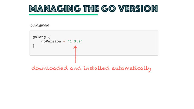 managing the Go version
build.gradle
golang { 
goVersion = '1.9.2' 
}
downloaded and installed automatically
