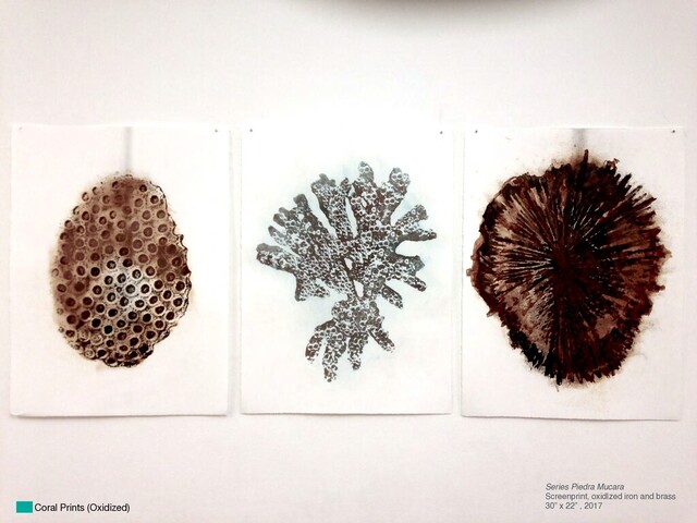 Series Piedra Mucara
Screenprint, oxidIzed iron and brass
30” x 22” , 2017
Coral Prints (Oxidized)
