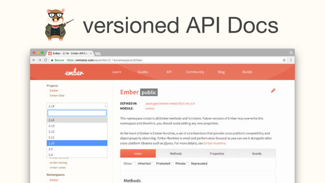 versioned API Docs
