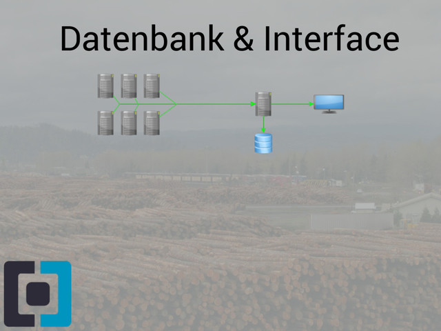 Datenbank & Interface
