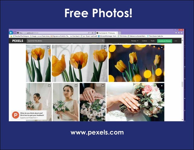 Free Photos!
www.pexels.com
