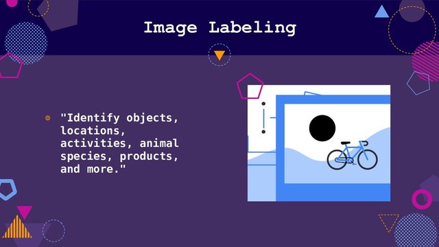 Image Labeling
◍ "Identify objects,
locations,
activities, animal
species, products,
and more."
