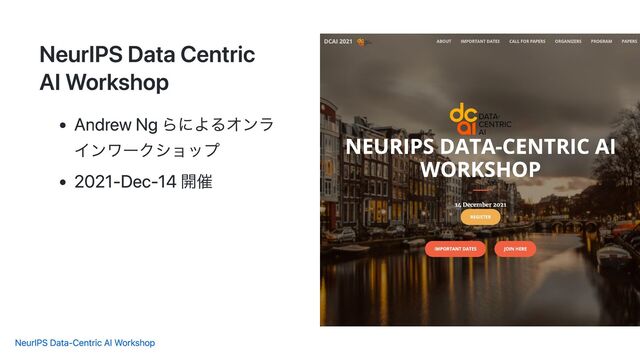 NeurIPS Data Centric
AI Workshop
Andrew Ng らによるオンラ
インワークショップ
2021-Dec-14 開催
NeurIPS Data-Centric AI Workshop
