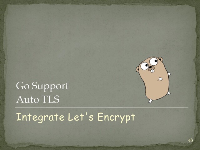 48
Go Support
 
Auto TLS
Integrate Let's Encrypt
