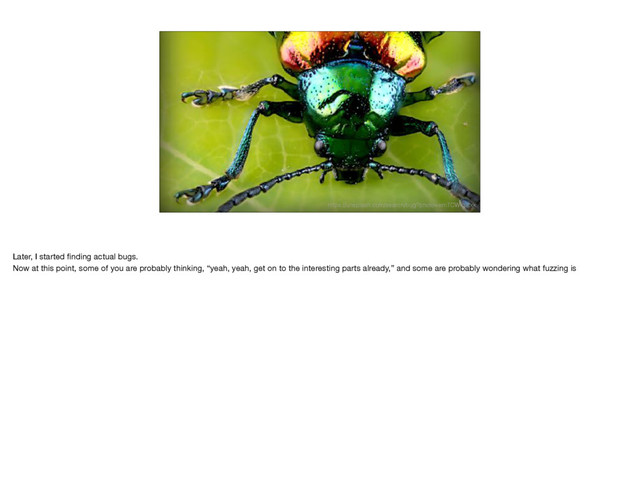 https://unsplash.com/search/bug?photo=emTCWiq2txk
Later, I started ﬁnding actual bugs.

Now at this point, some of you are probably thinking, “yeah, yeah, get on to the interesting parts already,” and some are probably wondering what fuzzing is

