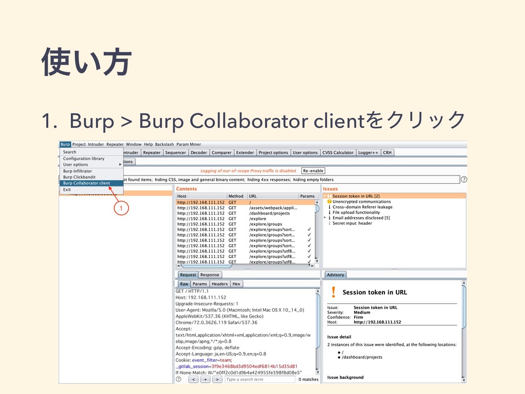 burp suite manual pdf
