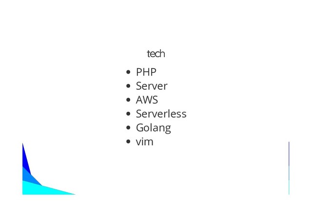 tech
tech
PHP
Server
AWS
Serverless
Golang
vim
