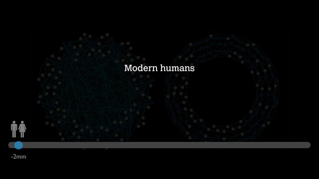 Modern humans
-2mm
