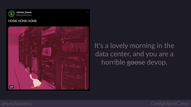 It's a lovely morning in the
data center, and you are a
horrible goose devop.
@rynchantress ConﬁgMgmtCamp
