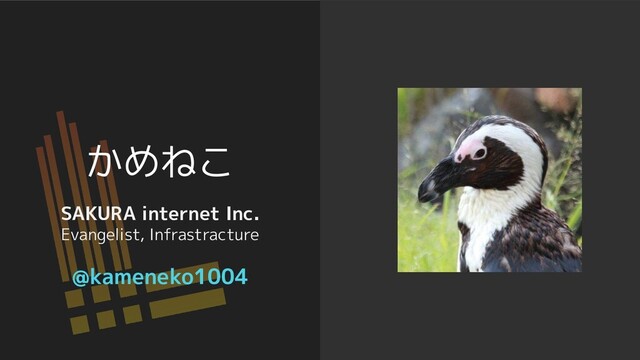かめねこ
SAKURA internet Inc.
Evangelist, Infrastracture
@kameneko1004
