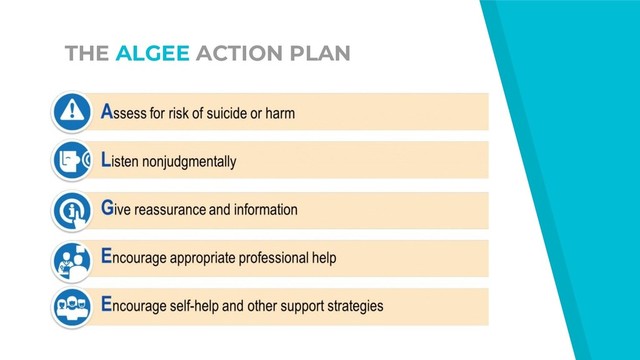 THE ALGEE ACTION PLAN
