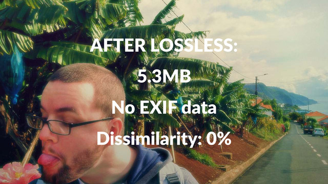 AFTER&LOSSLESS:
5.3MB
No#EXIF#data
Dissimilarity:+0%
