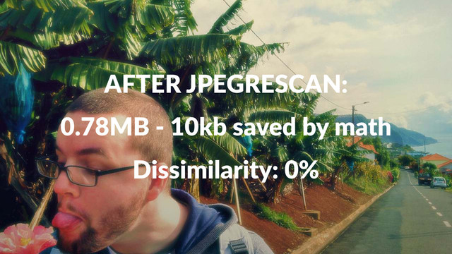 AFTER&JPEGRESCAN:
0.78MB'('10kb'saved'by'math
Dissimilarity:+0%
