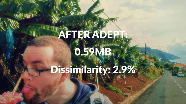 AFTER&ADEPT:
0.59MB
Dissimilarity:+2.9%
