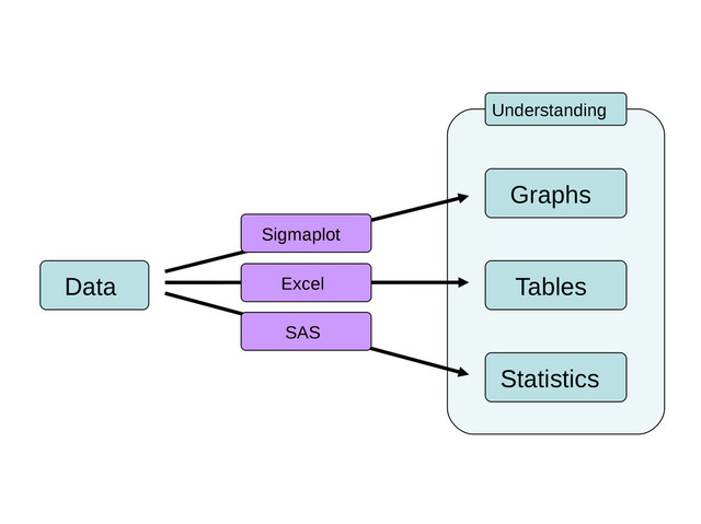 Tables
Data
Graphs
Statistics
Understanding
Sigmaplot
Excel
SAS
