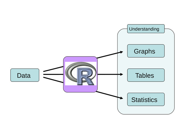 Tables
Data
Graphs
Statistics
Understanding
