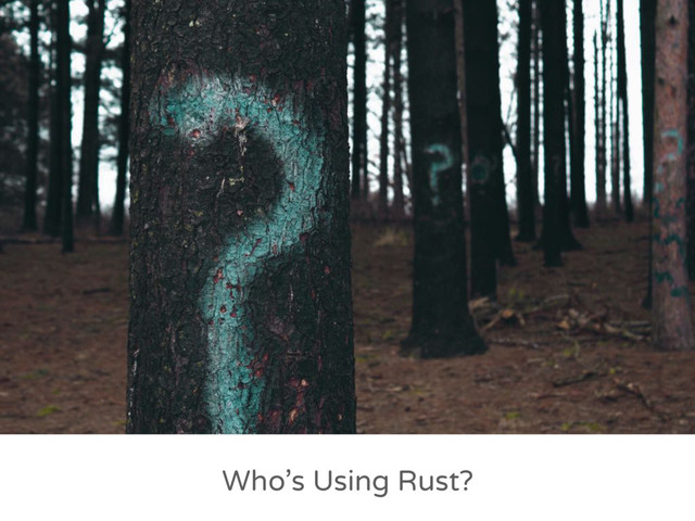 Who’s Using Rust?
