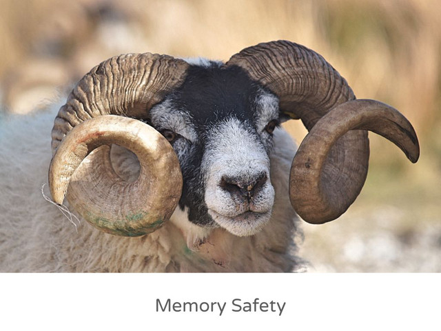 Memory Safety
